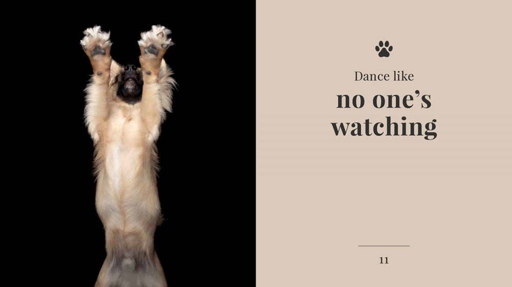 Wisdom Of Dogs: The Adorable And Funny New Book