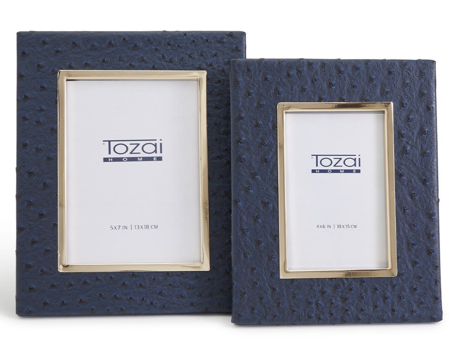 Navy Ostrich Frame
