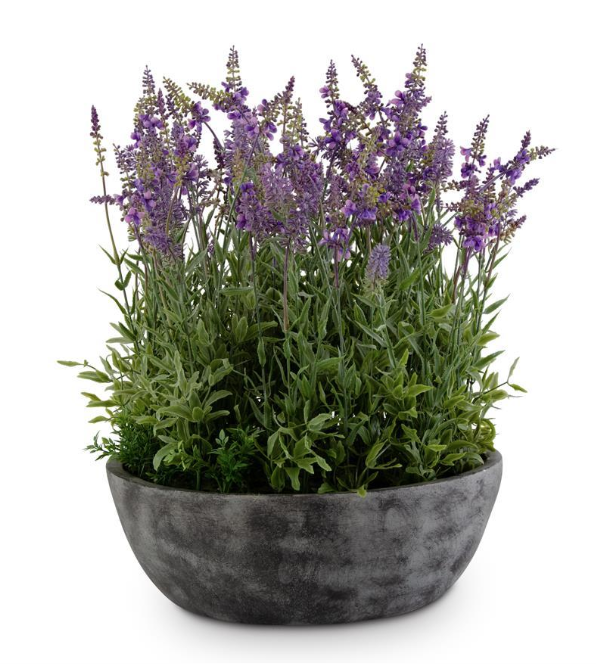 22in Lavender Bowl