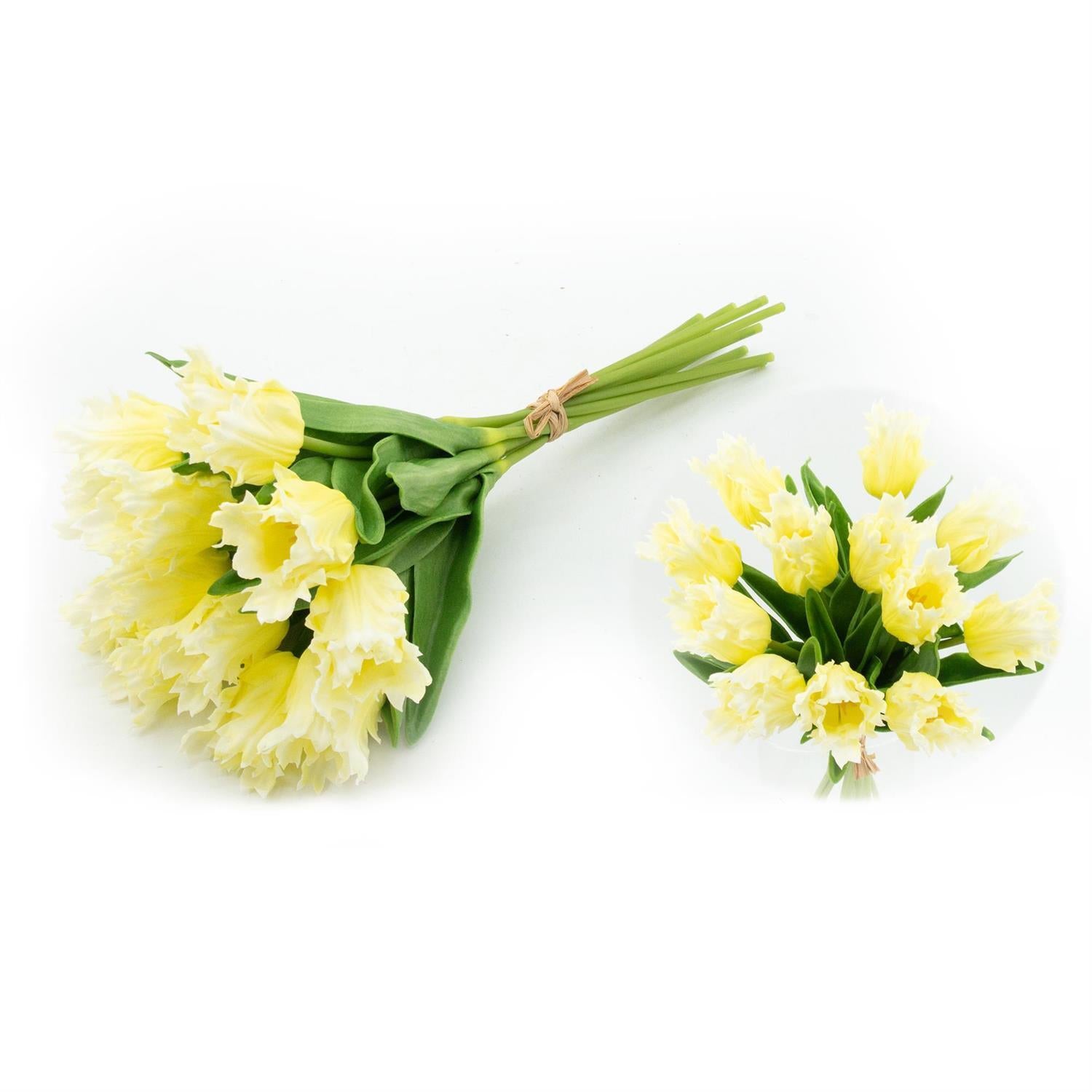 12 Stem Parrot Tulip Bundle