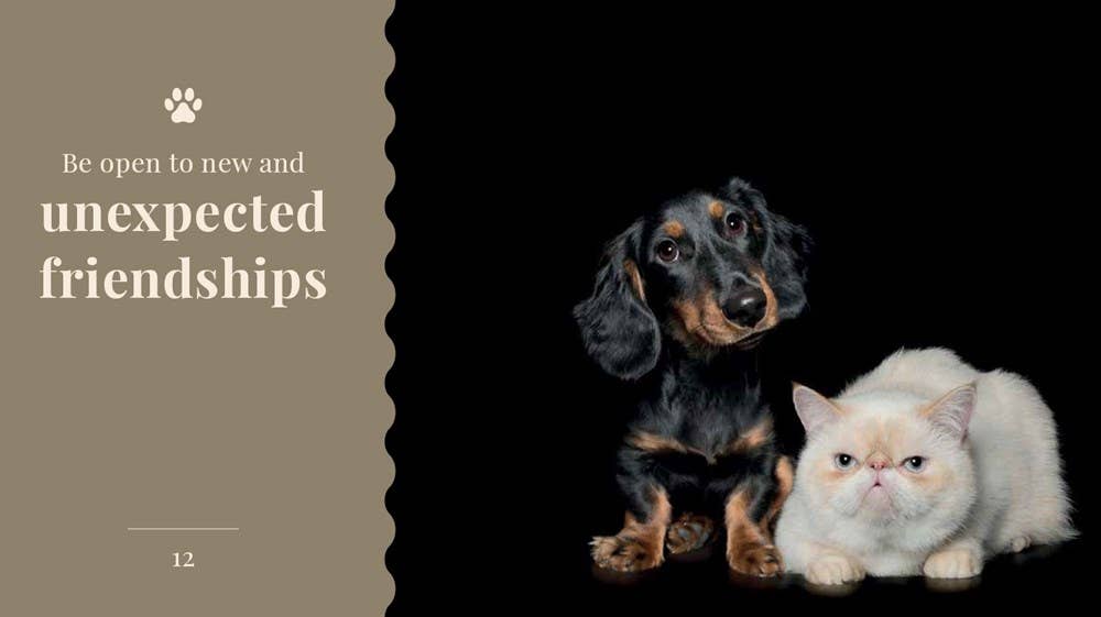 Wisdom Of Dogs: The Adorable And Funny New Book
