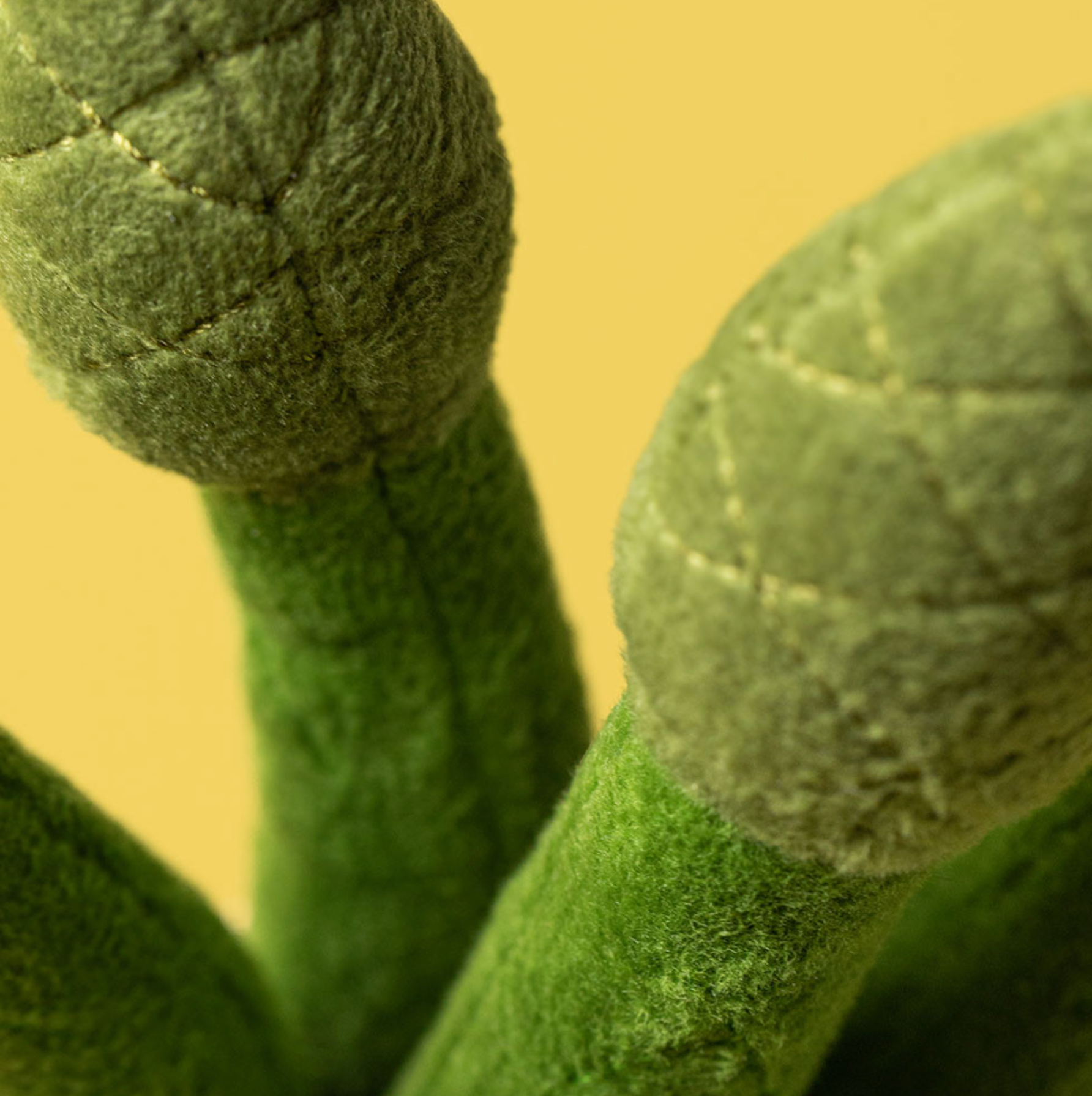 Amuseables Asparagas