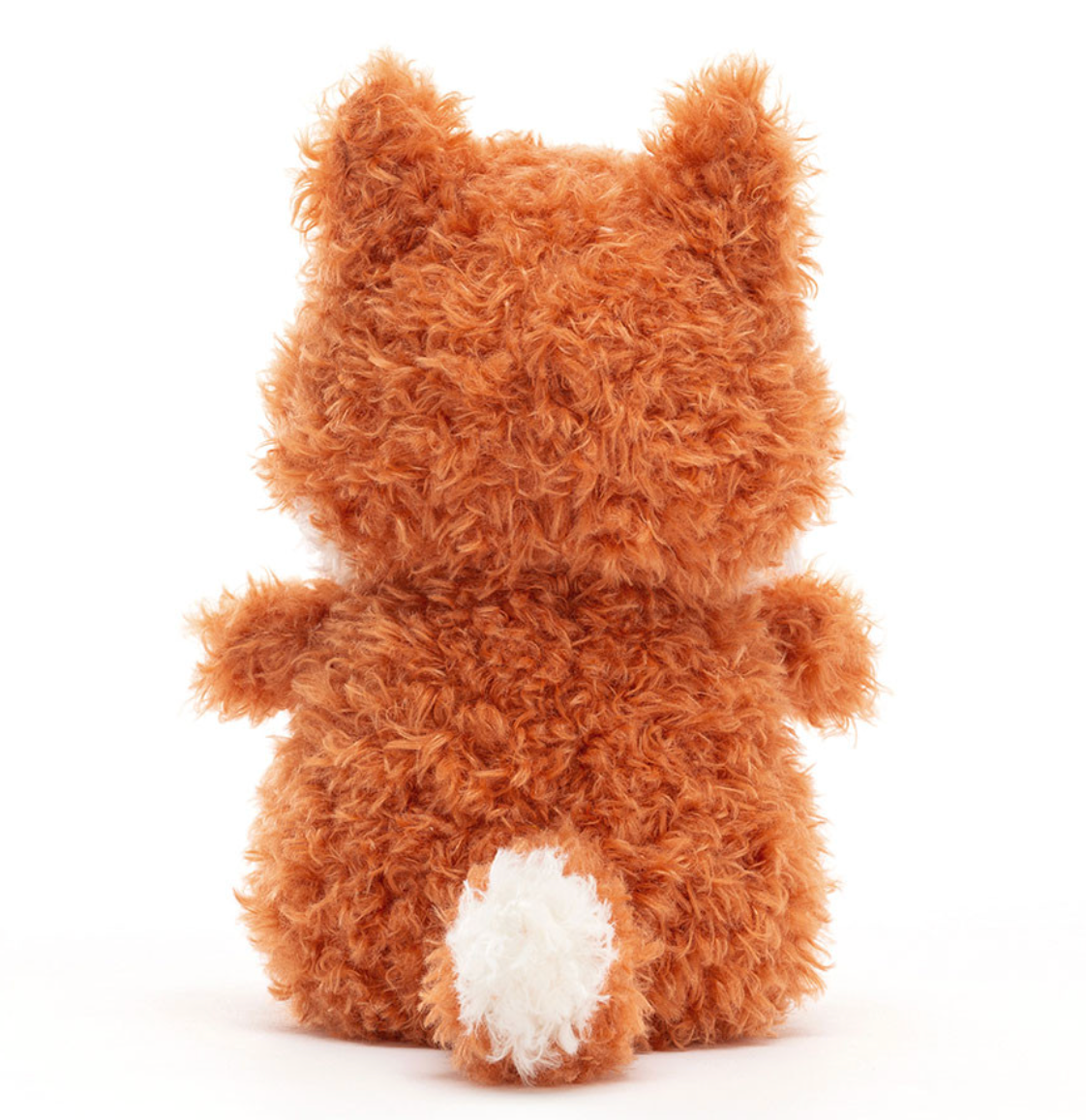Little Fox