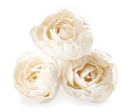 Citrus Lily AirEssence Diffuser
