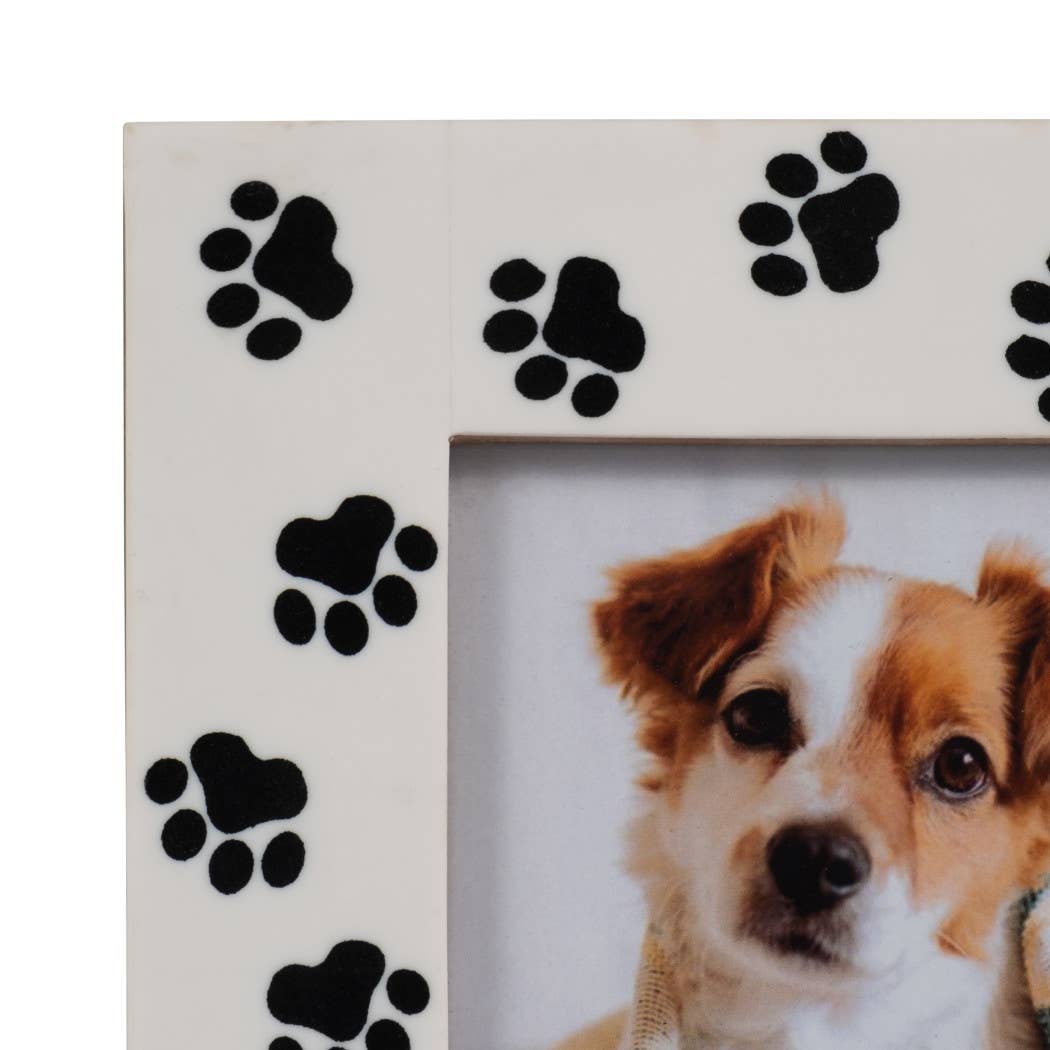 4x6 Paw Prints Frame