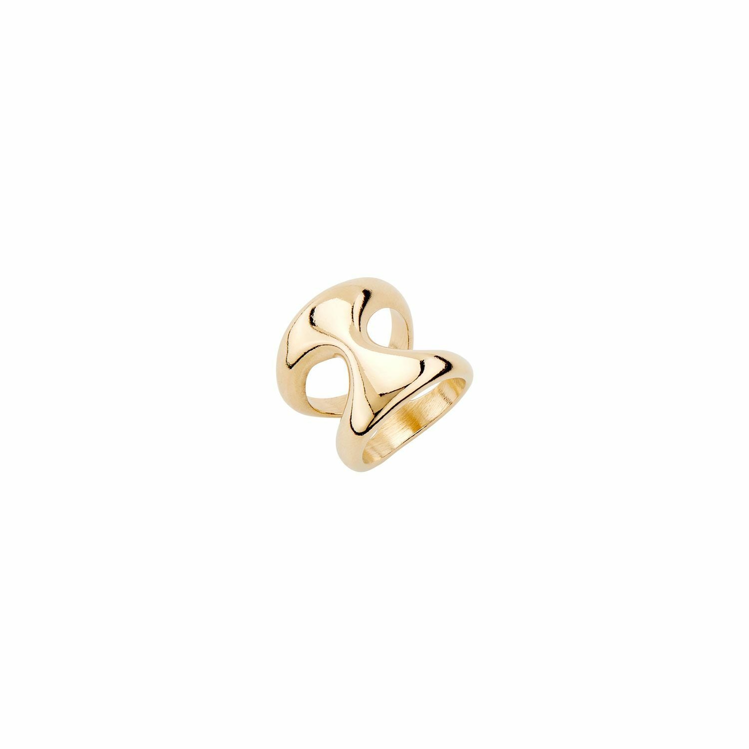 The One Gold Ring