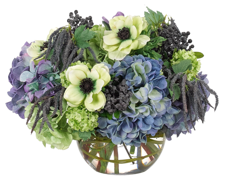 Hyndrangea Anemone