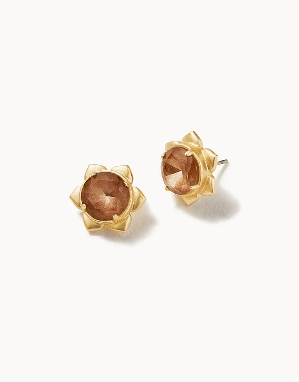 Magnolia Stud Earrings Rose 668705