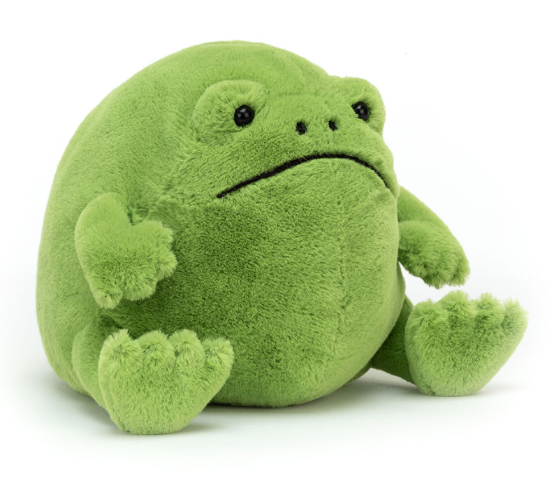Ricky Rain Frog