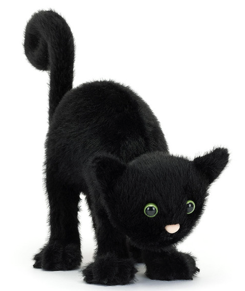 Spookipaws Cat