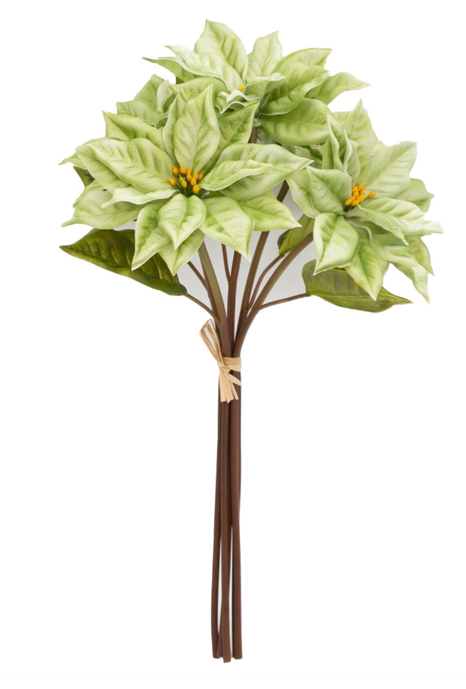 18in RT Lt Green Poinsettia Stem Bundle