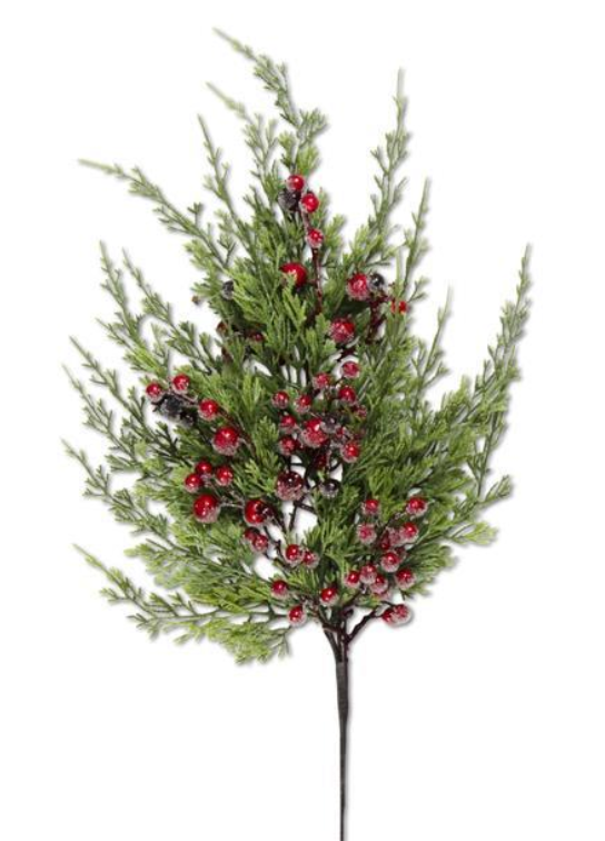 27in Cypress Pine w/ red iced berry stem