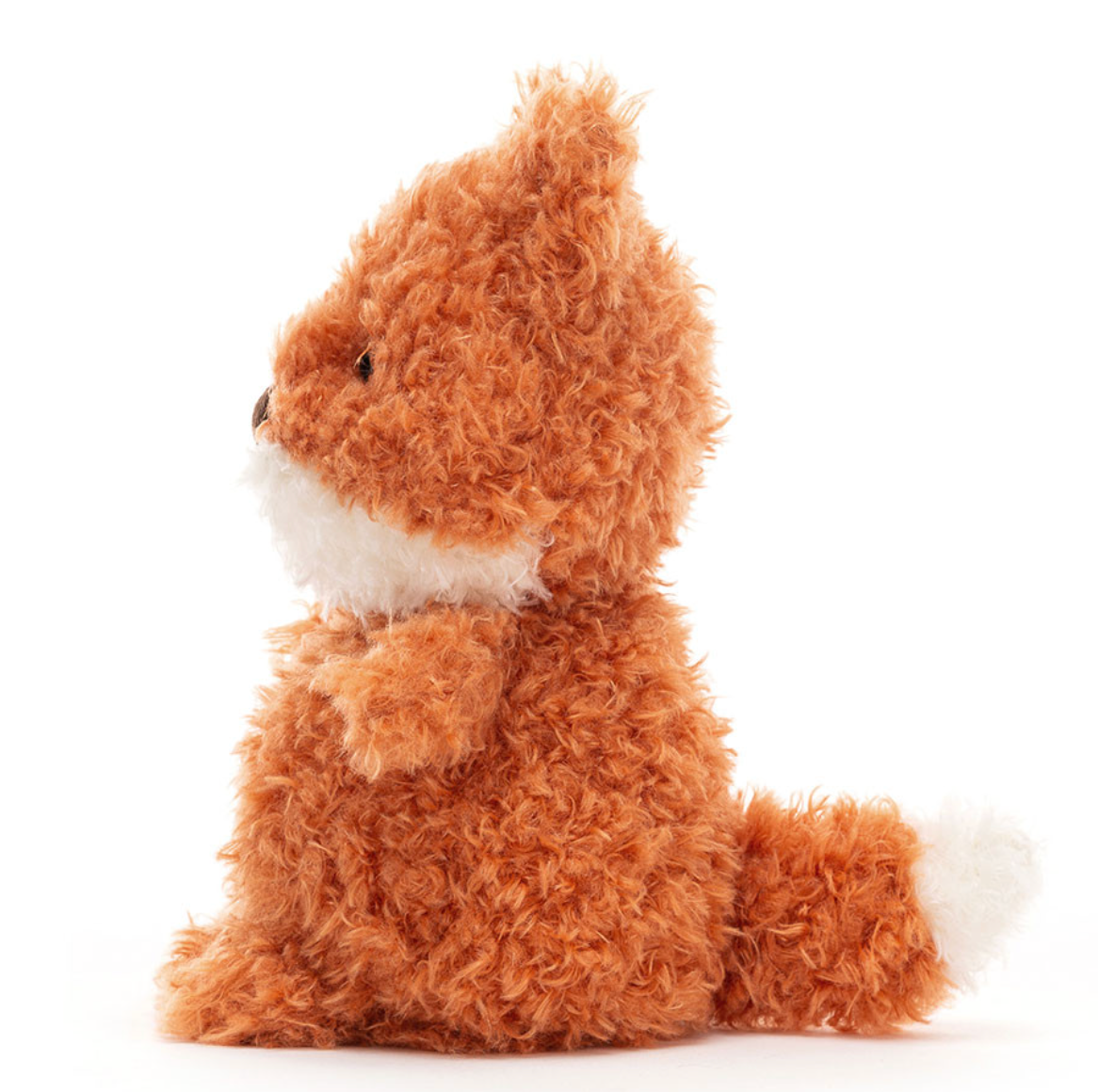 Little Fox