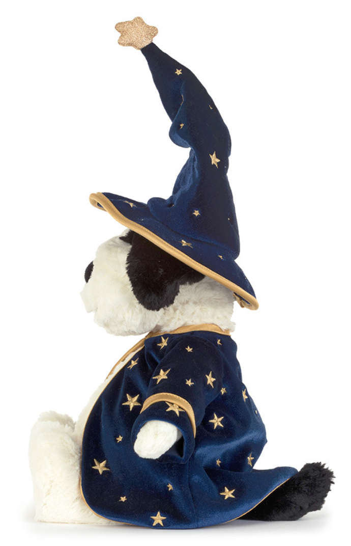 Rufferty Puppy Wizard Outfit
