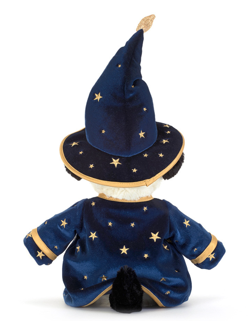 Rufferty Puppy Wizard Outfit